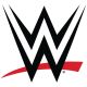 WWE Dice Masters: Tag Teams Team Pack
